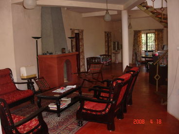 Tea Garden of Blue Mountain