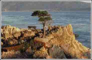 Monterey Dunes Beach Front Homes