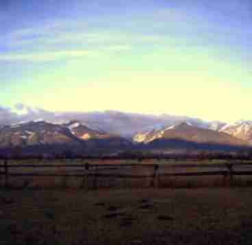 The View