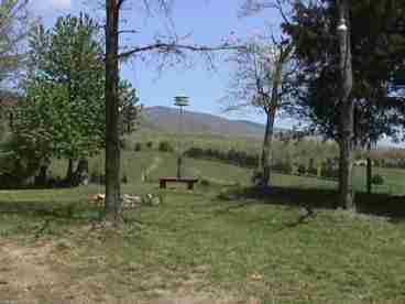 Valley View
