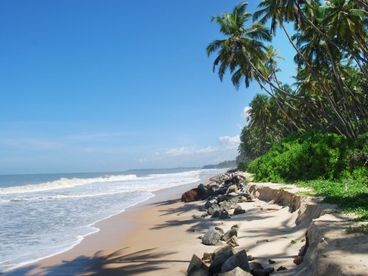 The beach right in front of Ocean Hues