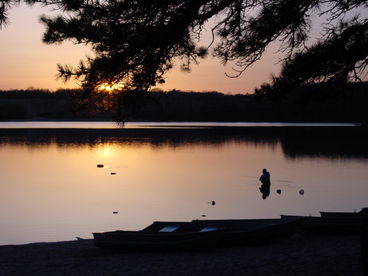 Waterfont Cottage on Private Lake in Cape Cod