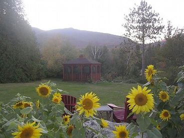 Autumn Gazebo