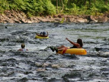 Wellnesste Cabin Rentals