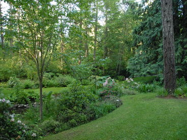 Example of part of three areas of woodland gardens.