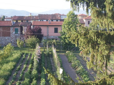 QUIET PRIVACY JUST A SHORT WALK FROM THE MEDIEVAL  WALLS OF LUCCA - BIKES/WIFI 