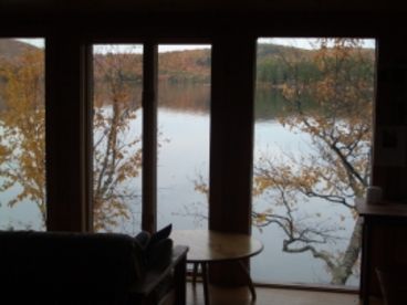 Foliage through living room window