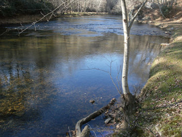 Creekside Vacation Home