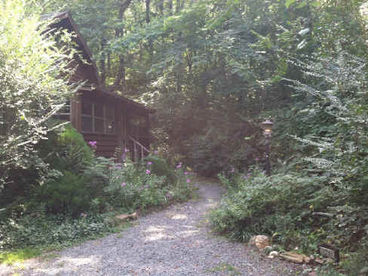 Spring morning in front of Woodhaven, shows private, wooded setting.