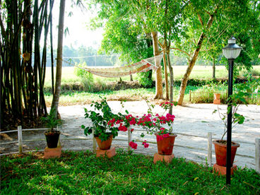Breezeland Holiday Home - Your Own Home in Kerala