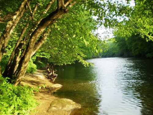 Your own private beach and swimming hole.