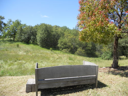 Wine Country-Large Loft on 10Ac Estate-Nr SSU-Views-Peaceful-Relaxing