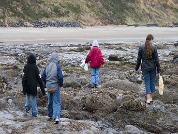 Tidepools