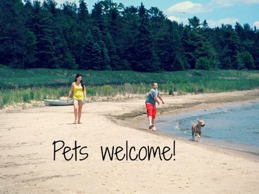 Pets are welcome here!