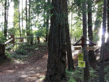 Artbutus Cabin on Savary