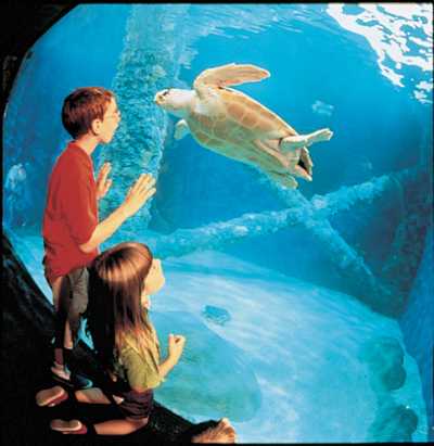 Close to all the nearby attractions!