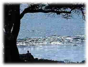 Our Cove