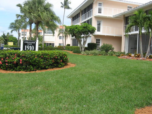 Condo buildings facing the Blvd.