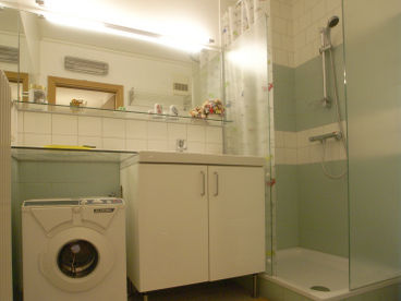 Bathroom equipped with shower, sink, washing machine, mirror (towels provided)