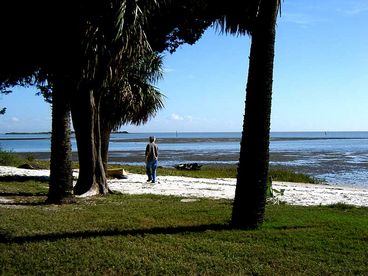 Birdwatchers' Delight - Tranquility in Cedar Key