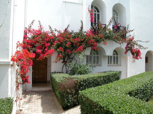 Garden entrance to Apt 15A