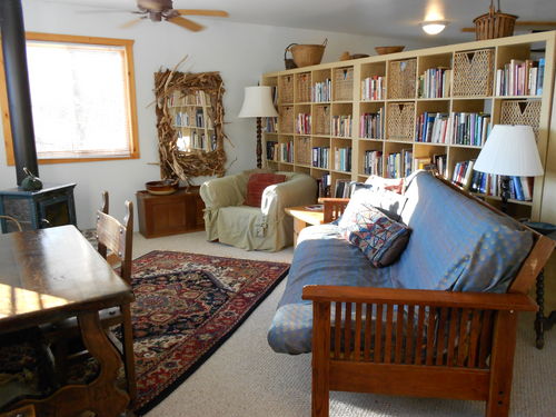 Living room, wood burning stove, library