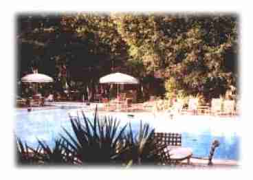 Large Pool