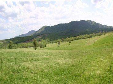 View from the villa