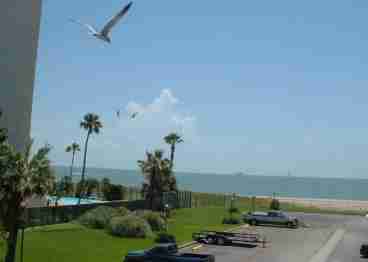 View from balcony