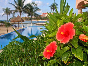 Beachfront pool, 