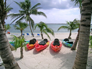 Kayaks for guest use