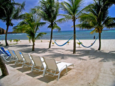Beach Chairs and Hammocks for guest use