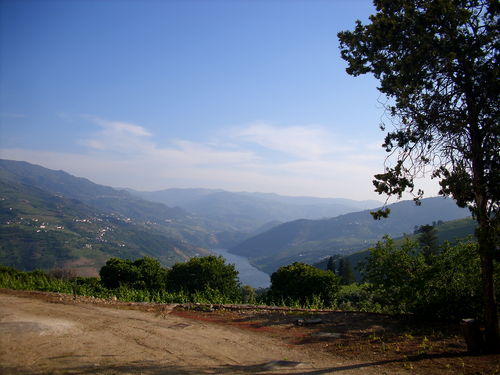 Quinta Do Pao Cottage 