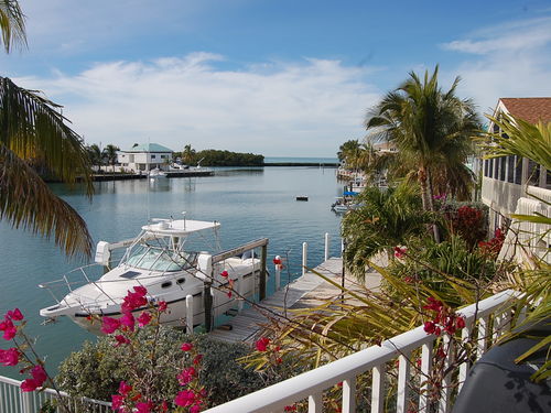 View from Balcony