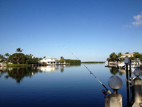 View from Dock