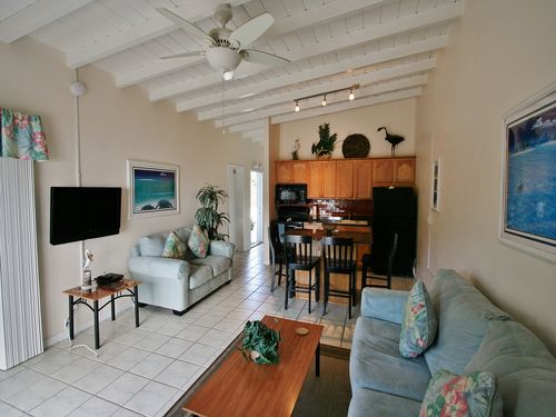 Living Room and Kitchen