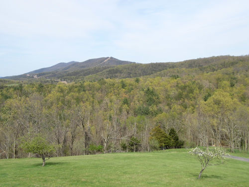 Hidden Hills Cabin near Smoke Hole