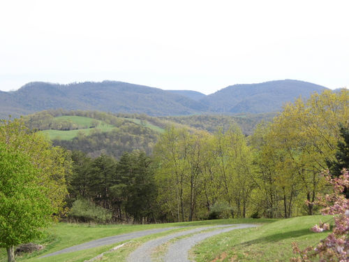 Hidden Hills Cabin near Smoke Hole