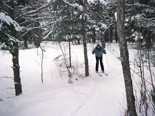 Pinecone Place