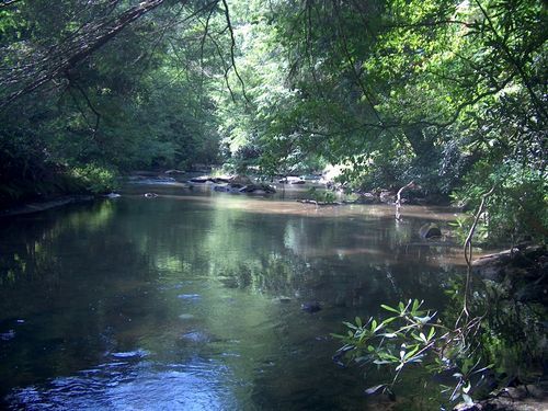 Fightingtown Creek below the cabin.