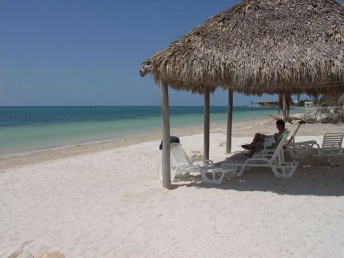 Shady Beachfront Tiki Huts