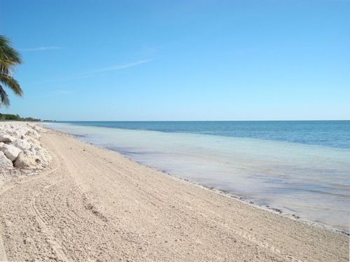 Sandy Beaches and Turtle Nesting Grounds