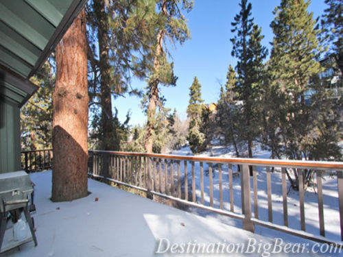 Decks off the back with tree views