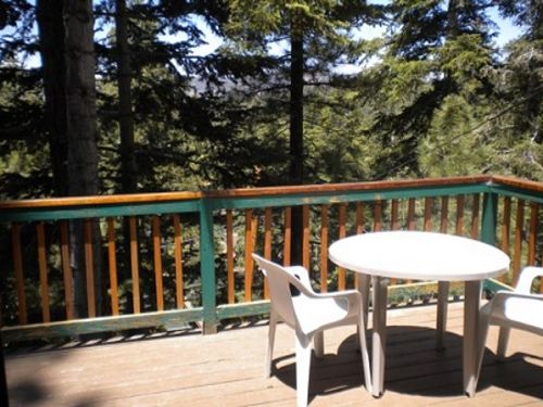  With plenty of stairs taking you to beautiful VIEW heights and giving you plenty of  PRIVACY, this rustic QUAINT cabin is a great getaway and affordable!