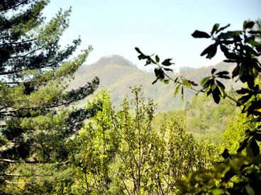 Seasonal View of the Mountains -- the less leaves, the better the view.