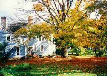 Fall View