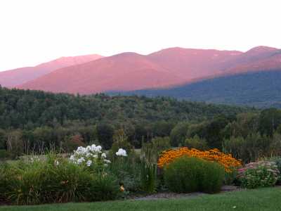 Afternoon Summer Alpine Glow