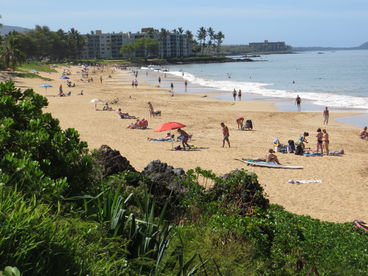 CHARLEY YOUNG - KAMAOLE 1 BEACH - 
Gentle Tides, all Water Sports, magnificent Sunsets.
ADDITIONAL PHOTOS UPON REQUEST