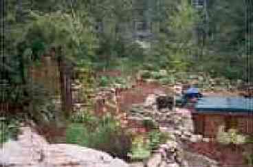 Timberland landscaped grounds and hot tub