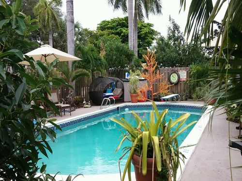 backyard of guest house with pool view from the living room